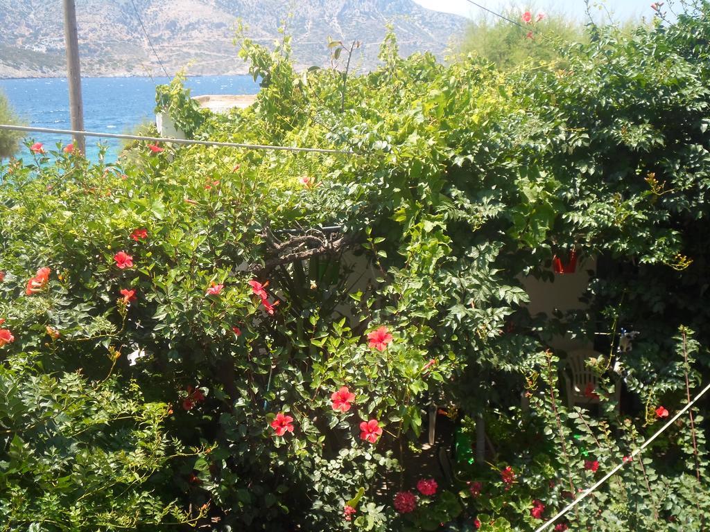 Costareli Aparthotel Fournoi Exterior photo